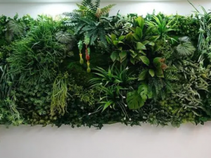 ǽ�ݵĹ�Ч ǽ�����νŵ��ŧ��