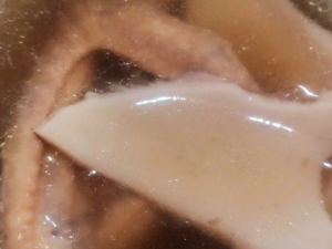 ��������Ҭ������Ӫ����Ч ��������Ҭ����������