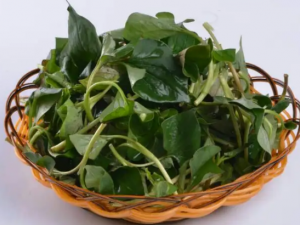 �۶�Ҷ����Щҩ�ù�Ч �۶�Ҷ��ֹ�ȹ�Ч�ܼ�