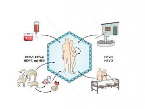 ��רҵ���ա���β���֪ʶ����