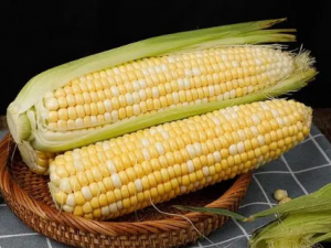 ���׵�Ӫ����ֵ����Щ ��������������Щ�ô�