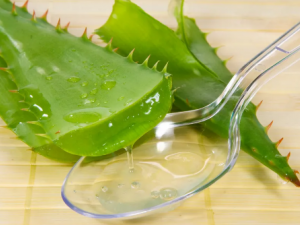 ��֪��«�������������ݻ��������Ʊ�����