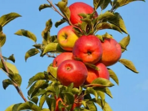 �＾��Ҫ��Ƣ��θ Ҫ��������ˮ��