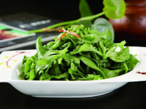 �и��ʺϳ���Щ�߲� �и����Գ����߲���