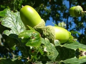 ��ʵ�ǵĹ������� ��ʵ�ǵ��÷�����