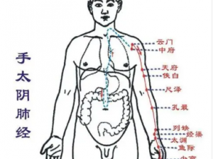 ��ҽ��α��� ��ҽ����������Ѩλ