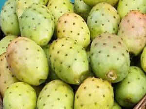 �����߱������ˮ�� ˮ�������߲���ȫȡ���߲�