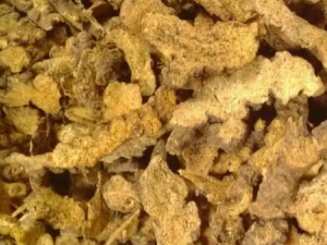 ��ɯ��Ĺ�Ч ��ɯ�������������ŭ