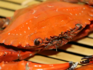 ��׺�Ĺ�Ч ��׺�