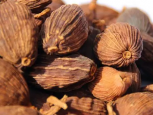 �ݹ���ɢ�Ĺ�Ч �ݹ���ɢ��С��ű