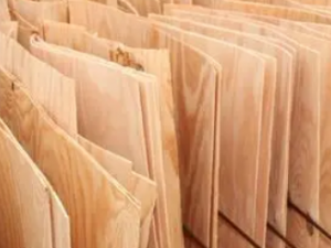 ��ľƤ�Ĺ�Ч ��ľƤ��ȥ��Ѫ