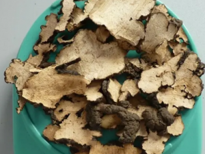 �����ߵĹ�Ч ��������������