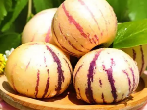 �ʺϴ���������ˮ��������Щ С���Ƽ�������Щˮ��