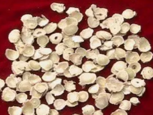 ����ɢ�Ĺ�Ч ����ɢ��̵������