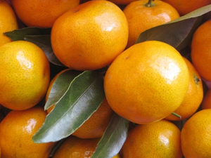 ļسԵĽˮƼ Զˮ岹ֽ