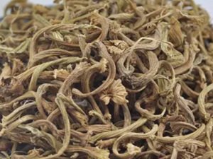 �Ӽ��ϵ�ɢ�Ĺ�Ч �Ӽ��ϵ�ɢ��񲲡