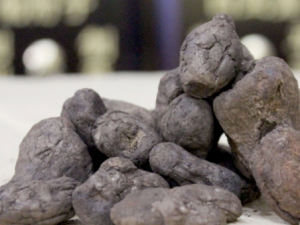 ��̿�Ĺ�Ч ��̿���麮����Ѫ