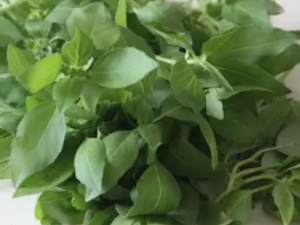 ����Ĺ�Ч �������ν��ɢ��