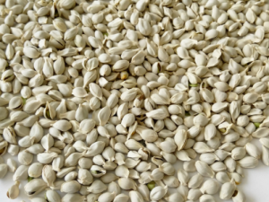 �ٺ˵Ĺ�Ч �ٺ�����С������