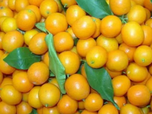 �����ڳ�ˮ����ʱ��Ҫע����Щ����