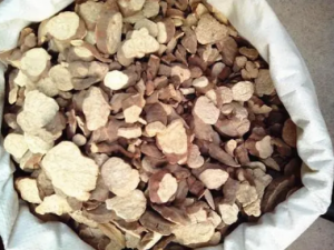 ���������ε��� ��α���Լ���������