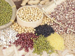 �����Ȳ�������� ���������Ӱ�����Ե���������