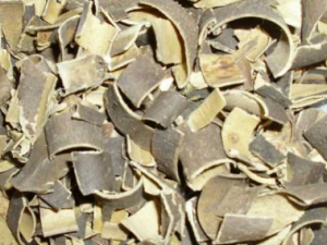 �����г�ҩ�������� һ�����˽�һ�°�