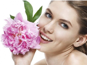 ���쾭���ݽ�����Щ�ô� �ݽ�Ҫע��ʲô