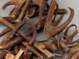 ��Ϭ���Ĺ�Ч ��Ϭ���������Ϲ�