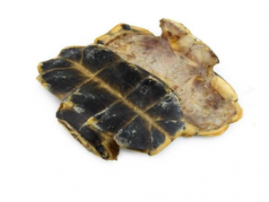 �����������Ĺ�Ч ��������������������