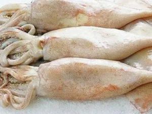 ���㲻�ܺ�ʲôһ��� �����ʳ�ý���