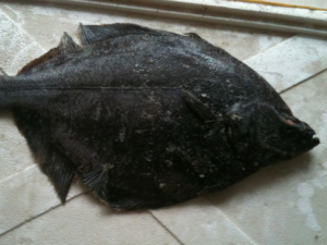 ����ĳ������� ���ֺ�������Ӫ��