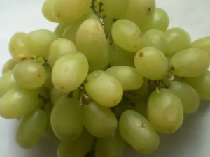 �������ѵĹ�Ч������ �������ѵ�Ӫ����ֵ