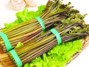 ާ������Щ��Ч ާ�˵�Ӫ����Ч