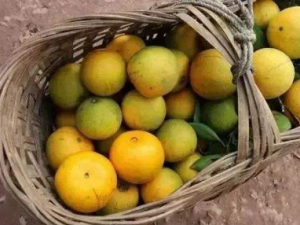 �����ˮ������Ƥ�Ը��м�ֵ