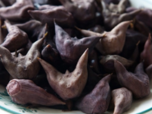 ���������Щʳ�ý� �������ЩӪ����Ч