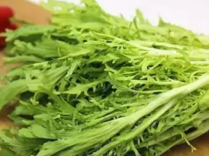 ��չ�Ч���� �����ô������Ч