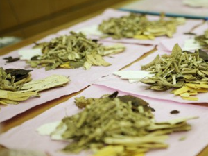 Ů�˾��ڱ������� ���ڲ����ҷ���8��ҩ