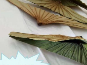 �и����ܳ���Щҩ�� ����ҩ�������ЩΣ��