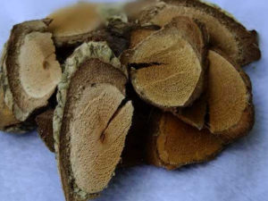 ������ҩ���ʳ������Щ