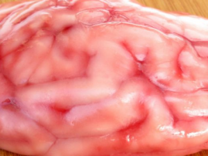 �����ܳ������� ���Ե�Ӫ����ֵ