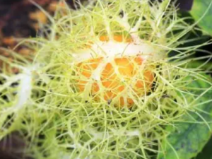 �������Ҫע����Щ���� �����������