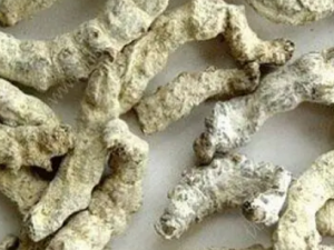 ����ɢ�Ĺ�Ч ����ɢ��С�����