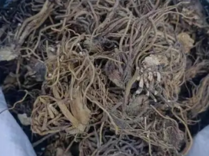 ����ͨ��ɢ�Ĺ�Ч ����ͨ��ɢ�����»��