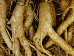 ��ν����˲� ��Щ�˲�����ʳ���˲�