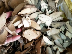 �ܾ��÷�������ô���� ���ͨ����ҽ������