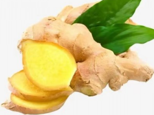 ���������ĺô� ��������������ð�ʺ϶���Ŷ