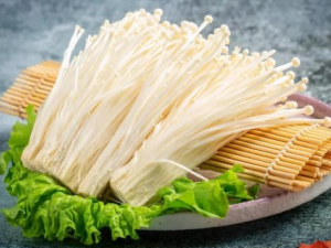 ��Щ�˿ɽ�ѹ��֬��������