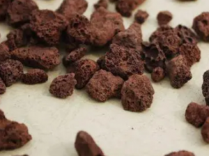 ЩʳʳöԽ һ𿴿Щʳﲻܶμ