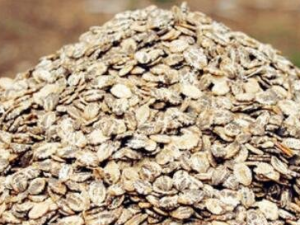 ��������Щʳ�����������